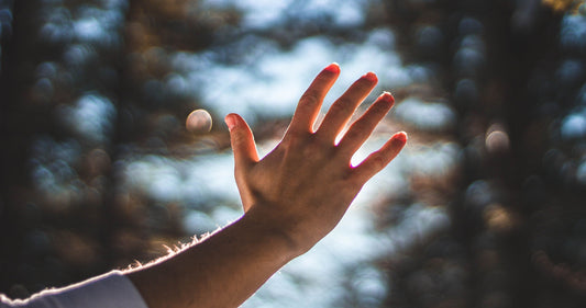 man's hand held up to sunlight